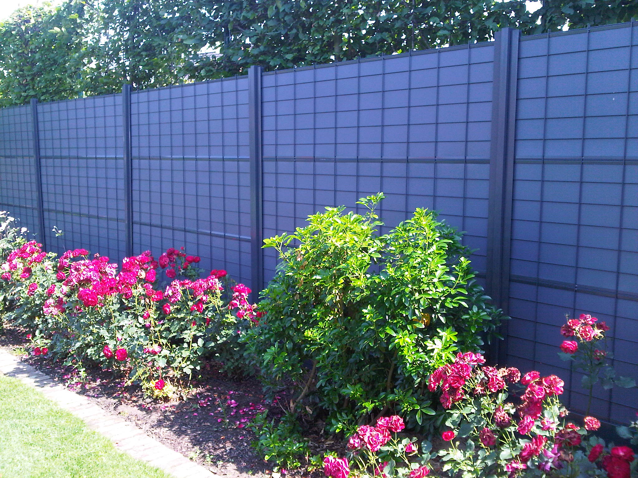 Graue Gartentrennwand von Ekoshield mit rosa Blumen davor